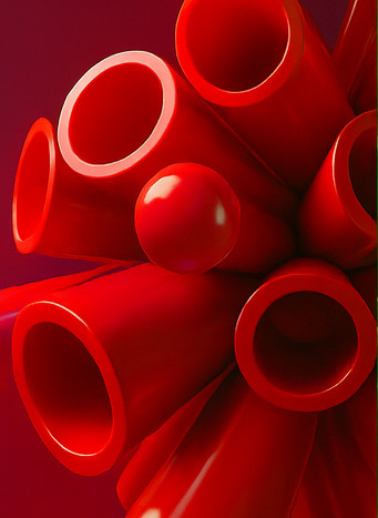 알파 존에서의 모험