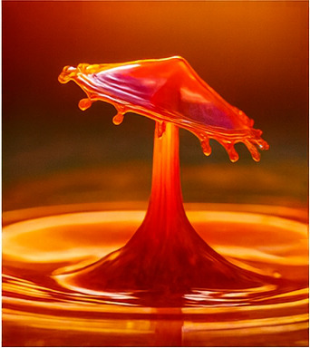 새로운 모험의 세계