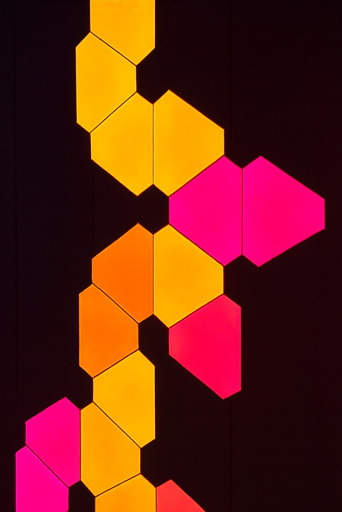 몰입형 액션 체험